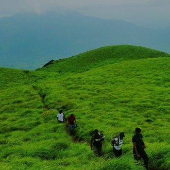Wayanad Tour Packages
