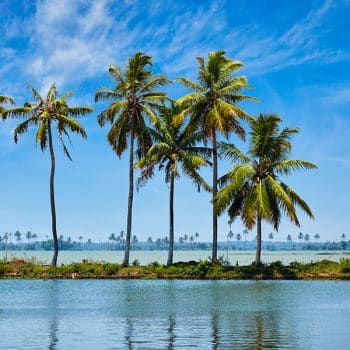 Alleppey Kumbalangi Tour Package