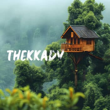 5 Nights 6 Days Kerala Package