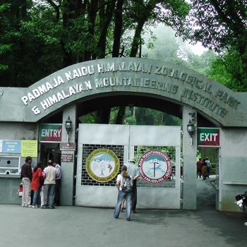 Padmaja Naidu Himalayan Zoological Park