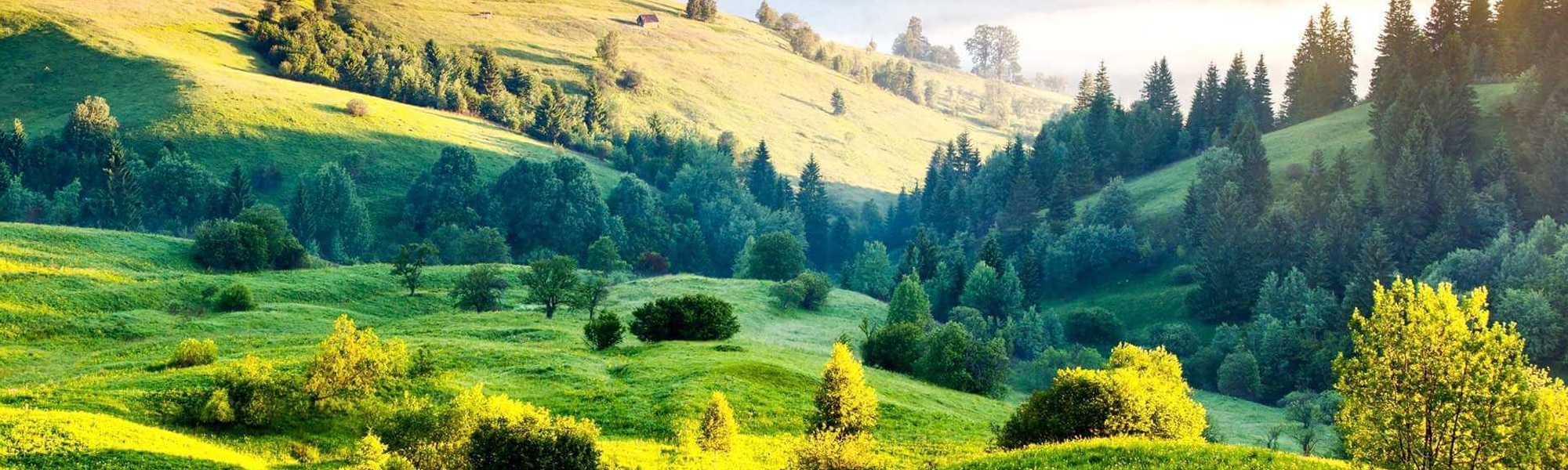 Doddabetta Peak Tourist Places Sightseeing Attractions In Doddabetta