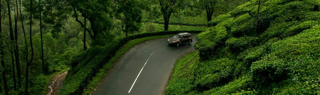 best road trips in Kerala