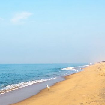Take a Beach Break in Mararikulam