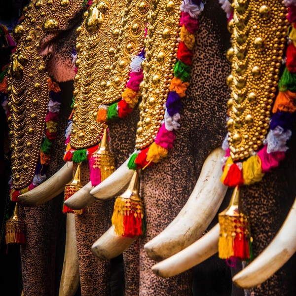 Thrissur