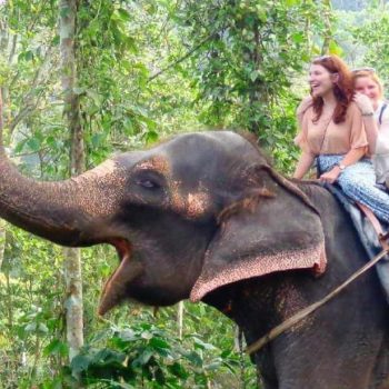 Elephant Ride in Kerala