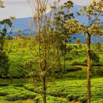 Valparai, the lesser-known hill station in the Tamil Nadu