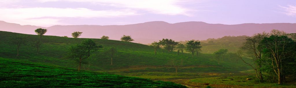 Tourist Places In Kerala To Visit During October