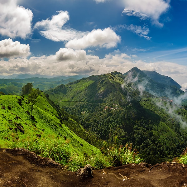 why should you plan your trip to Munnar