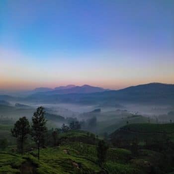 15 Reasons Why You Should Definitely Visit Kerala?