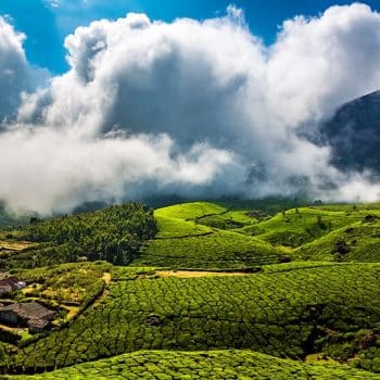 Best Months For Travelling To Kerala
