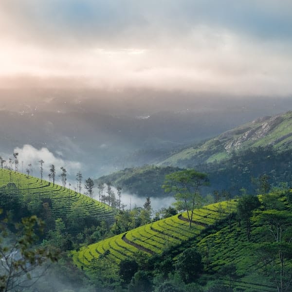 Kerala gets featured in the New York Times list of 52 destinations for 2023