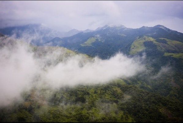 Stunning aerial view of Munnar hill-station - Unique Places To Visit In Kerala
